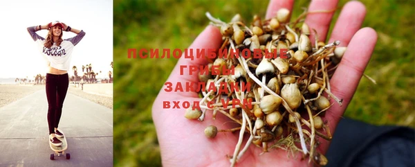 дурь Беломорск