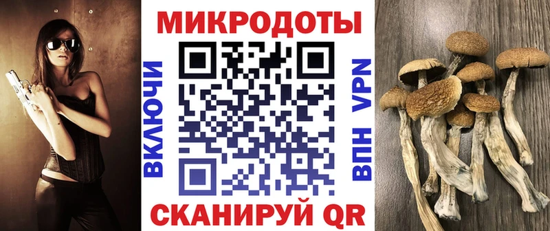Псилоцибиновые грибы ЛСД  Волосово 